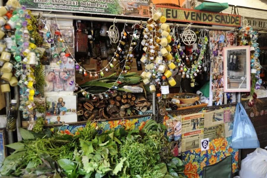 Belém: Half-Day City Tour with Ver-o-Peso Market Visit - Ver-o-Peso Market: Belém’s most useful first stop