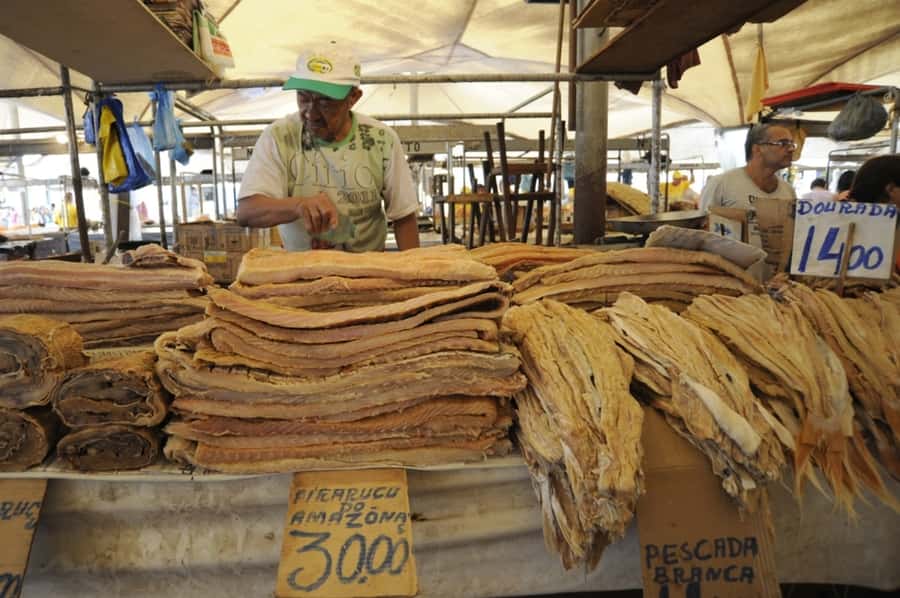 Belém: Half-Day City Tour with Ver-o-Peso Market Visit - Castelo Fortress and the city’s 1616 beginnings