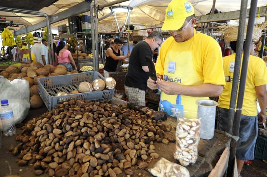 Belém: Half-Day City Tour with Ver-o-Peso Market Visit - República Square, Paz Theater, and the old center