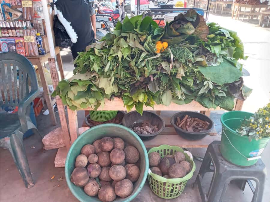Belen Market & Floating City 2-3 Hour Private Tour - Starting beside Iquitos Boulevard