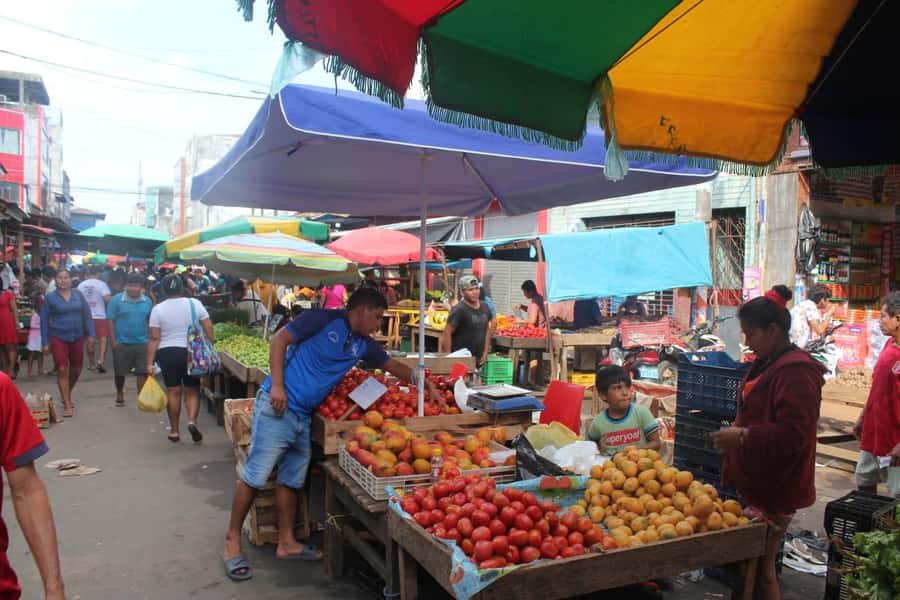 Belen Market & Floating City 2-3 Hour Private Tour - What the $40 price includes