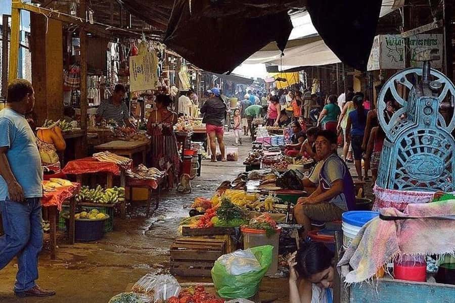Belen Market & Floating City 2-3 Hour Private Tour - Practical preparation for Belen and the river