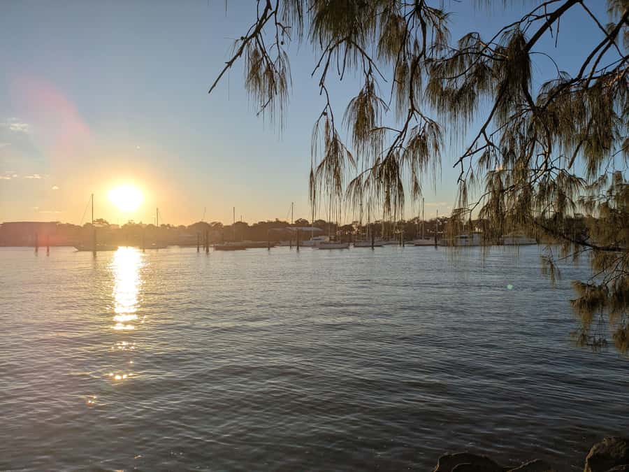 Brisbane: Eumundi Markets, Noosa Gems & Afternoon Cruise - A full Sunshine Coast day from Brisbane