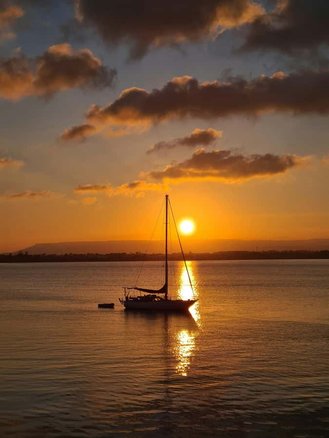 Brisbane: Eumundi Markets, Noosa Gems & Afternoon Cruise - The pace, comfort, and practical limits