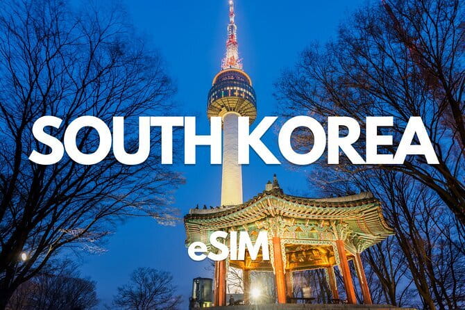 Busan: Food Crawl with Fish Market, Soju Tents & Local Snacks - Practical strengths and limits