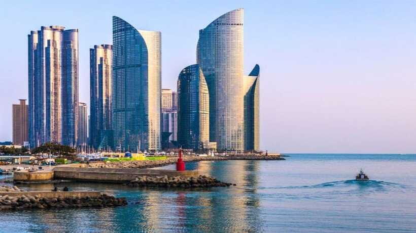 Busan: Jagalchi Market & Gamcheon village Walking Tour - Who should book this Busan walk