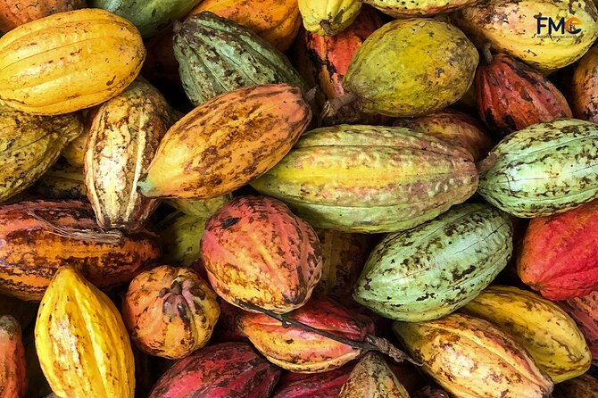 Cai Rang floating market, Cacao & hidden small canal - What the guides add to the experience