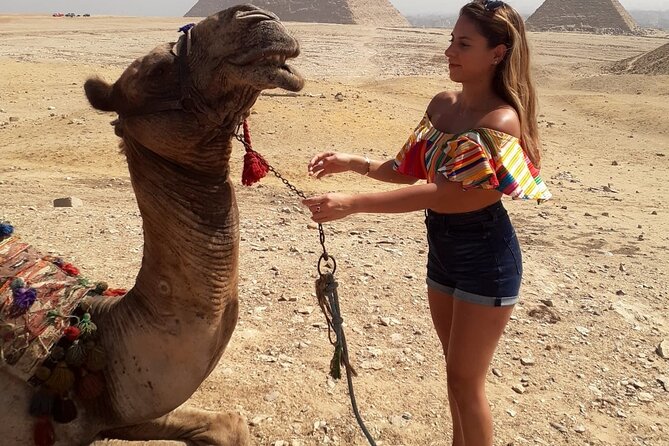Cairo 8 Hour Private Tour of Pyramids, Egyptian Museum and Bazaar - Why this private Cairo tour works for a short visit