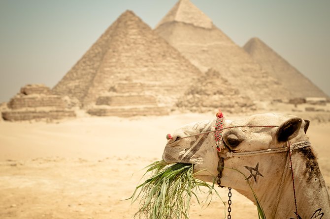 Cairo Private Tours To Giza Pyramids,Egyptian Museum & Bazaar - Two and a half hours at the Egyptian Museum