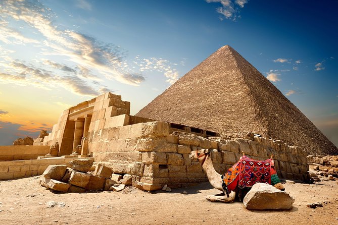 Cairo Stopover Tour to Giza Pyramids Egyptian Museum Citadel & Bazaar - Meeting your guide at Cairo Airport