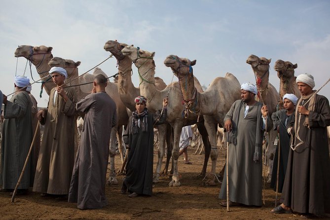 Cairo Unusual Day Tour Visit Camel Market in Birqash - Key points to know before you go