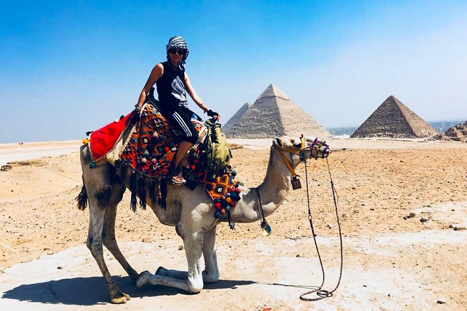 Cairo Unusual Day Tour Visit Camel Market in Birqash - Is $50 a fair price?