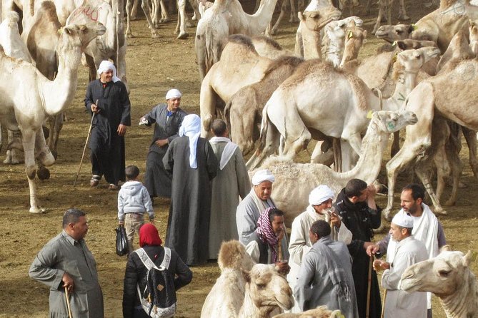 Cairo Unusual Day Tour Visit Camel Market in Birqash - Entering Souq al-Gamaal in Birqash