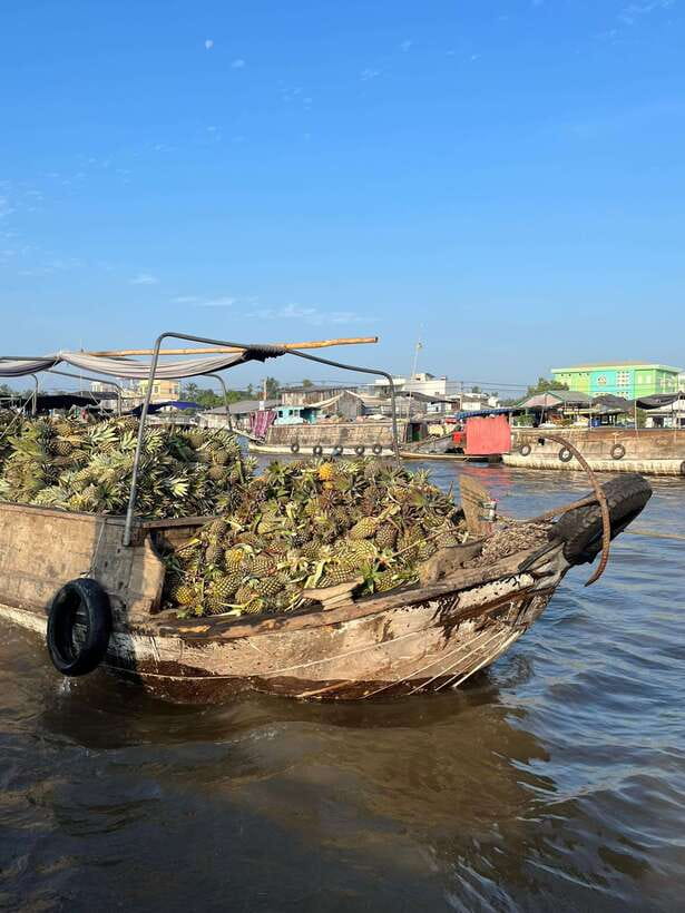 Can Tho: Cai Rang Floating Market and Canals - Noodle soup, coffee, pineapple, and river snacks