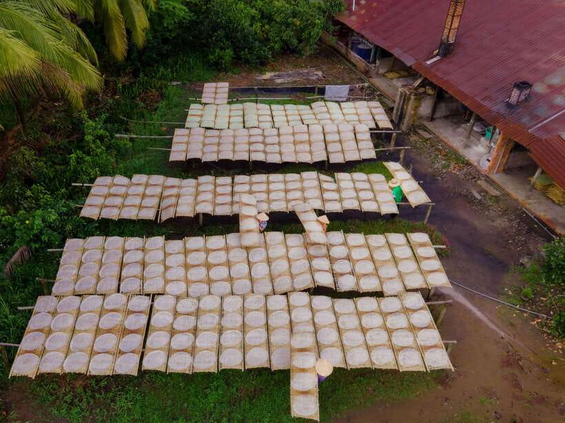 Can Tho: Explore Mekong, Floating Market, Cacao & Local Life - Cacao with Mr. Cacao