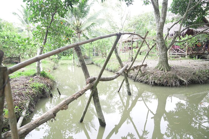 Can Tho Floating Market and Fruit Garden Tour - Seasonal fruit in a local garden