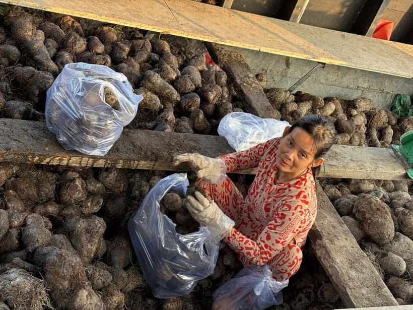 Can Tho: Floating Market, Cacao & Canals with French Guide - Narrow canals and a countryside walk