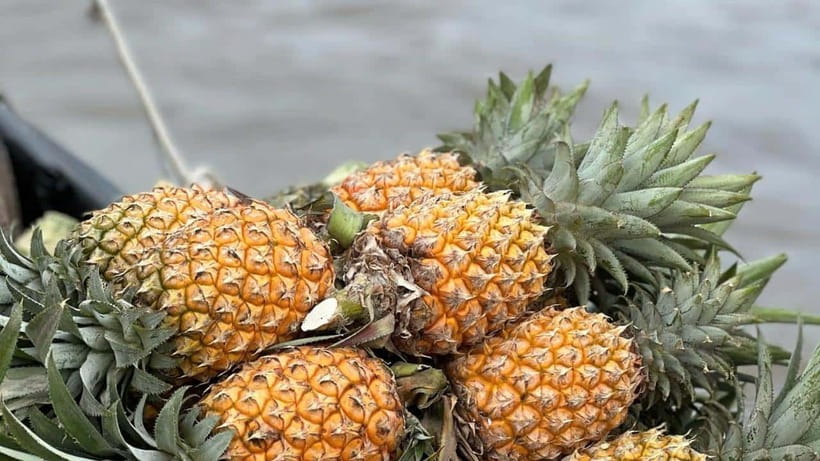 Can Tho: Floating Market explore local life, Mekong farm - From the main river to Chín Của’s noodle house