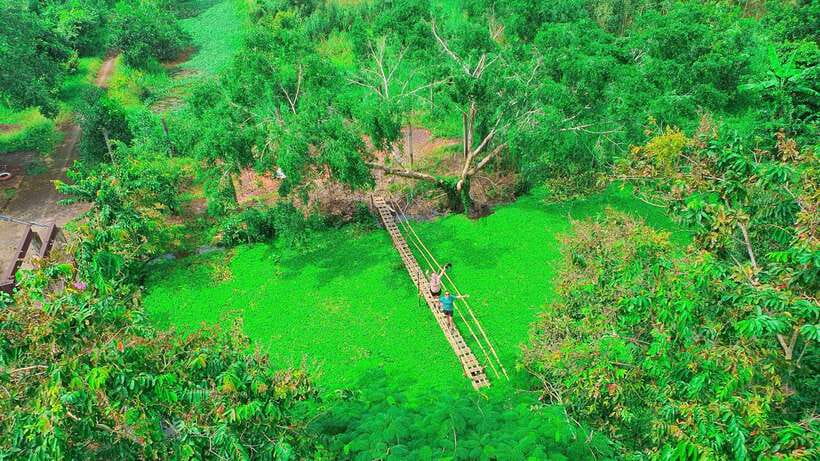 Can Tho: Floating Market & Lung Ngoc Hoang Nature Reserve - Finishing at Lung Ngoc Hoang Nature Reserve