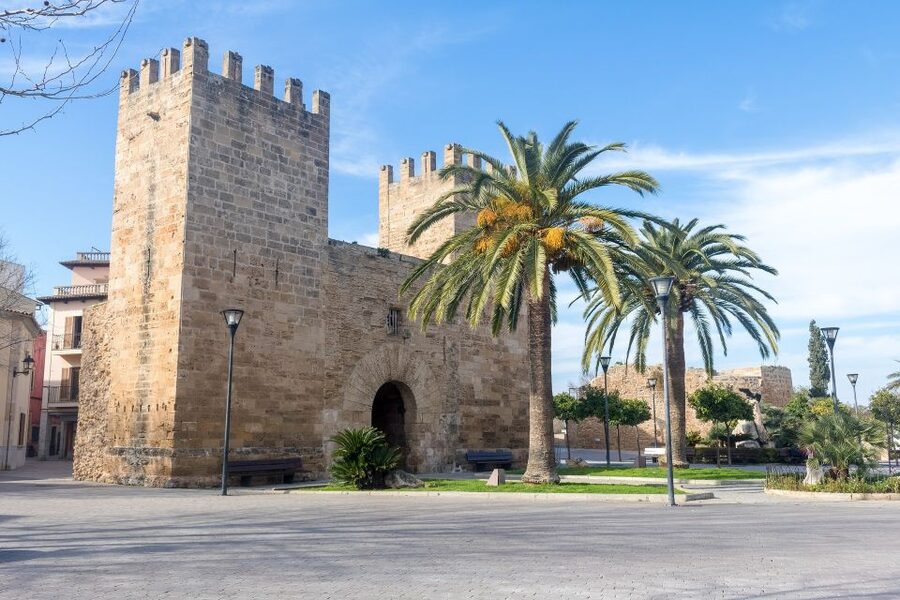 Cap de Formentor: Market, Beach, and Alcudia Tour - Alcudia market: local color with a busy edge