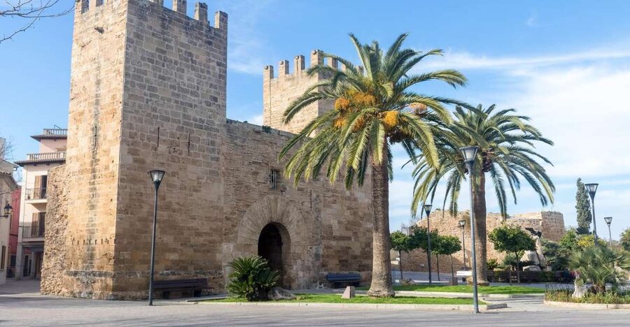 Cap de Formentor: Market, Beach, and Alcudia Tour - The road to Cap de Formentor