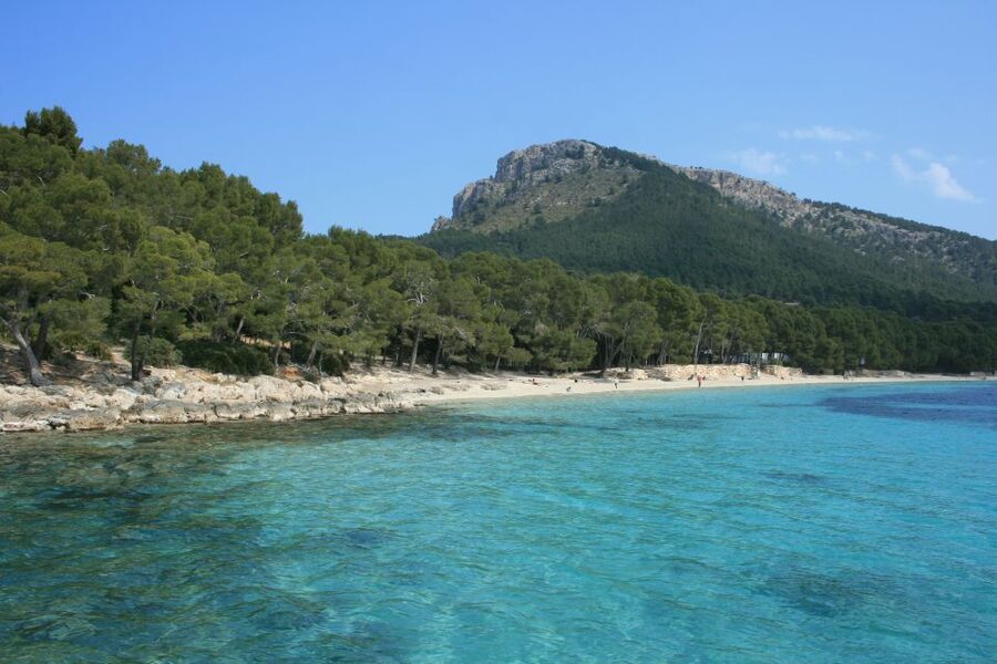 Cap de Formentor: Market, Beach, and Alcudia Tour - Formentor Beach: bring your swimwear