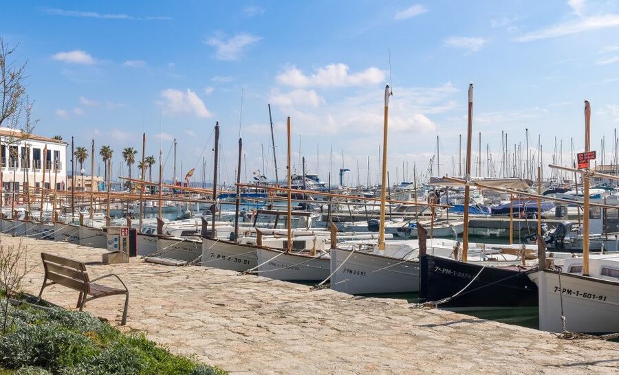 Cap de Formentor: Market, Beach, and Alcudia Tour - Guides, languages, and the pace of the day