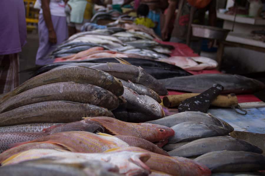 Cartagena Bazurto Market: Authentic Food & Culture Tour - How Three Hours Are Best Used