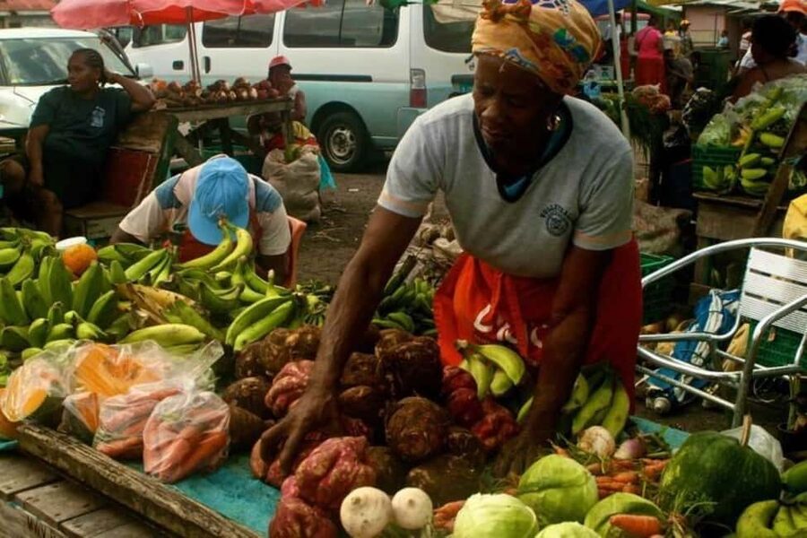 Castries: Guided City Architecture and Castries Market Tour - What this three-hour Castries tour is really for