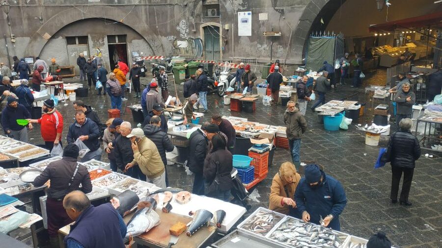 Catania Street Food Tour: Fish Market & City Centre - Cannoli, cassatella and the sweet finish