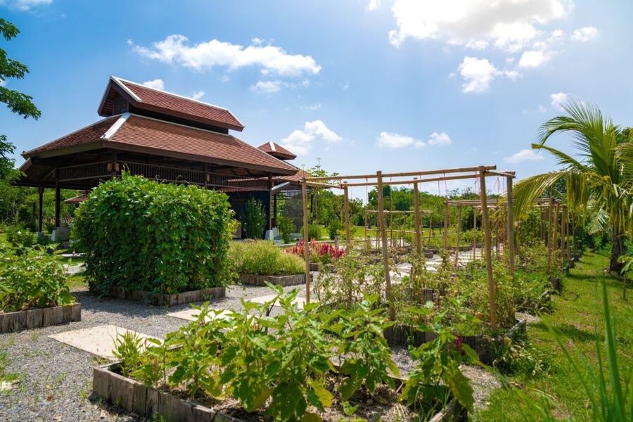 Chiang Mai: Authentic Cooking Class with Market & Farm Visit - Key points before you book