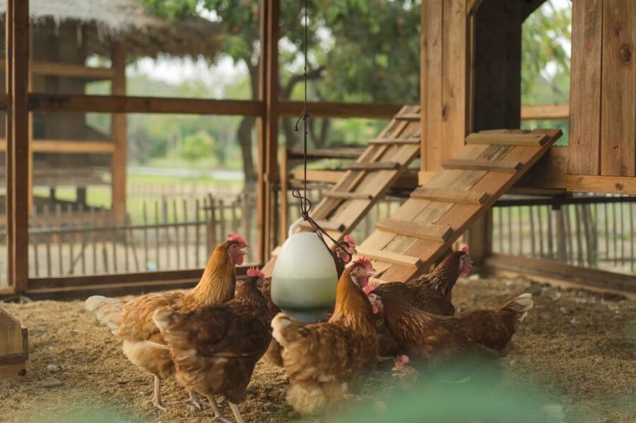 Chiang Mai: Authentic Cooking Class with Market & Farm Visit - Your own cooking station makes a difference