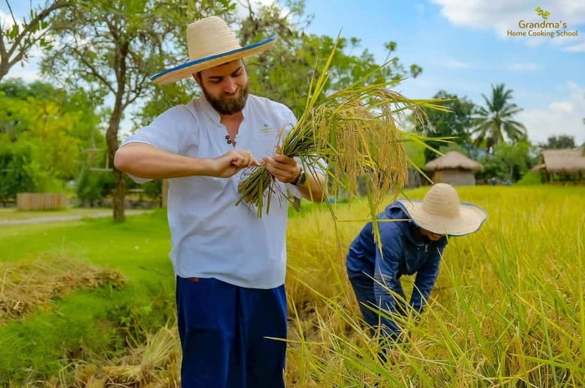 Chiang Mai: Authentic Cooking Class with Market & Farm Visit - What the $34 price includes