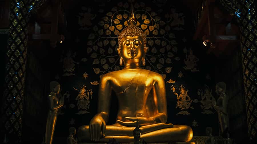 Chiang Mai: Buddhist Almsgiving and Market Tour with Meal - Who will enjoy this morning most