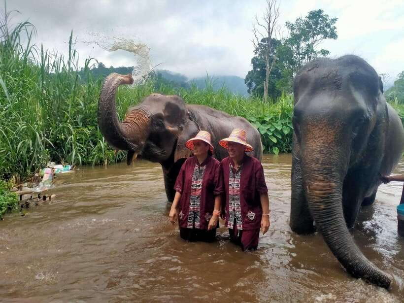 Chiang Mai: Elephants, Sticky Waterfalls, Market and Temple - Why this Chiang Mai day trip works