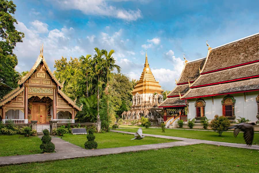 Chiang Mai Light: Tuk Tuk Night Tour with Temples & Markets - Chinatown for food and local street life