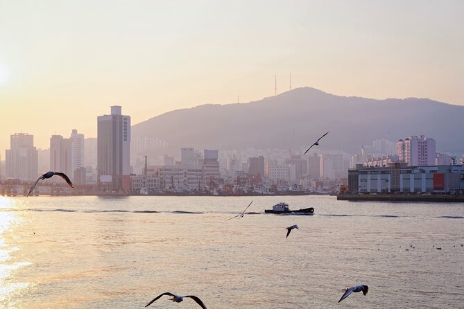 Colors of Busan: Sky Capsule, Jagalchi Market & Night Views - Key points to know before booking