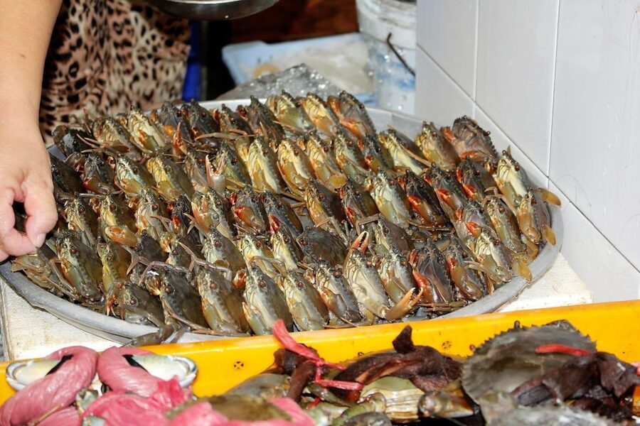 Cooking Class with Ben Thanh Market visit - Who should book this class