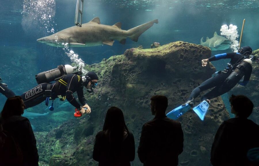 Crete: Heraklion Center, Local Market and Creta Aquarium - Getting to Cretaquarium from the resort areas