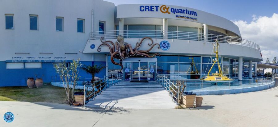 Crete: Heraklion Center, Local Market and Creta Aquarium - Liberty Square and the story of Heraklion