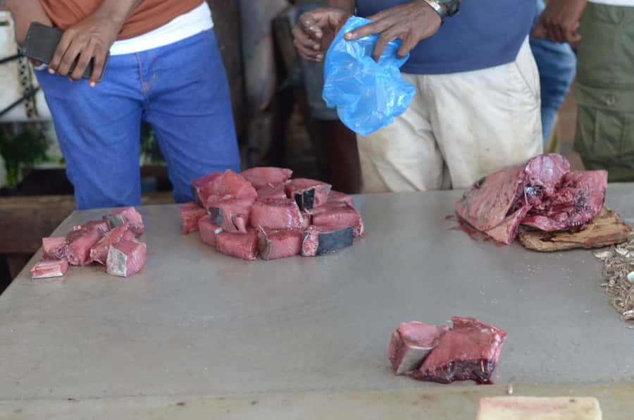 Dar es salaam Fish Market Adventure - From market catch to frying area