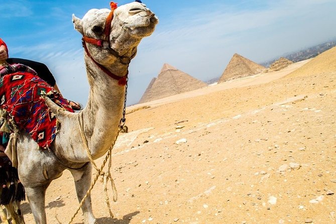 Day trip to Giza Pyramids Citadel & Bazaar - Who will get the most from this Cairo day