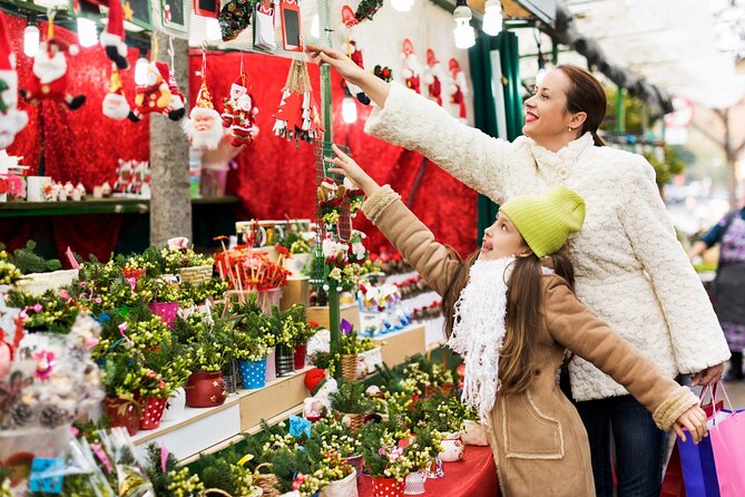 Discover Colmar's Christmas Market Magic with a Local - A one-hour introduction to Colmar at Christmas