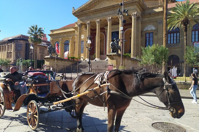 Discover Palermo in 3 hours. Art, history, markets and street food - Starting with Capo Market and Palermo street food