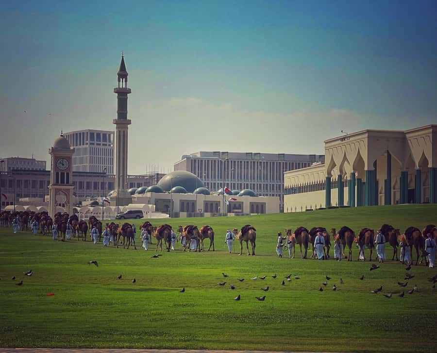 Doha: Guided City Tour to Souq Waqif, katara & pearl-island - Who should book this Doha tour