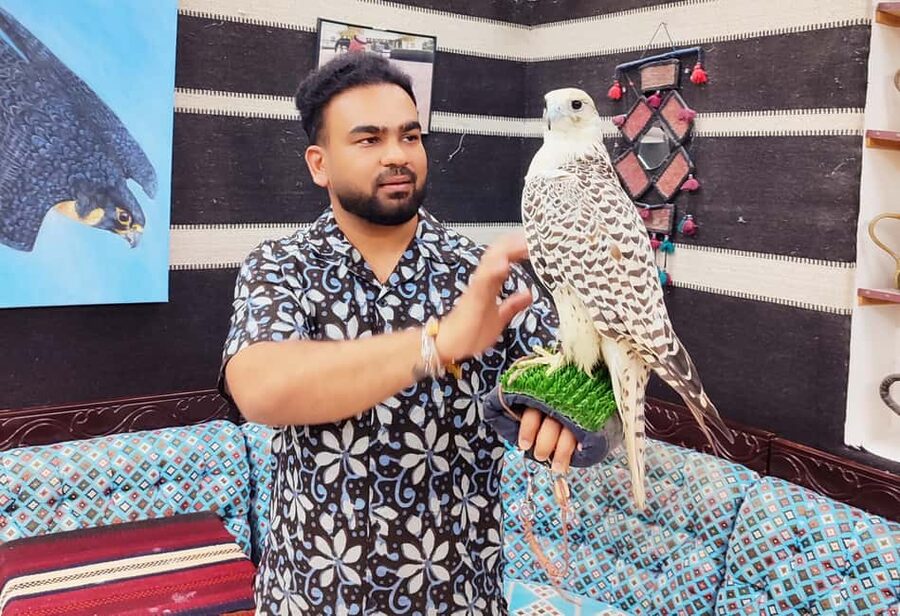 Doha: Souq Waqif - Traditional Local market guided Walk Tour - Who should book this walk?