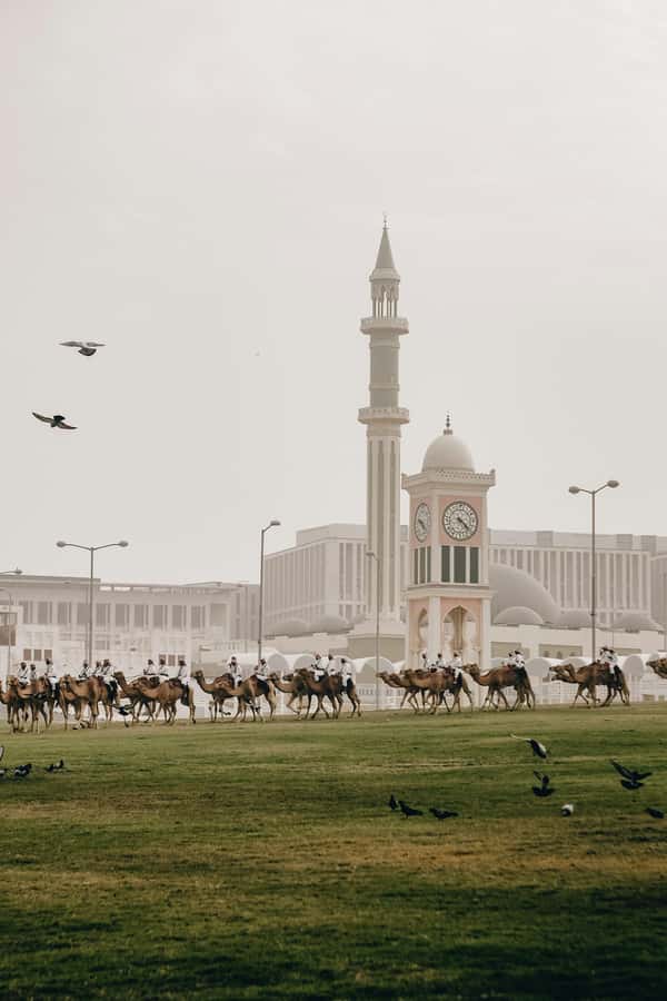 Doha: Visit Cornishe, Pearl, Souq Waqif, Katara, Museum - Katara Cultural Village and its broad public spaces
