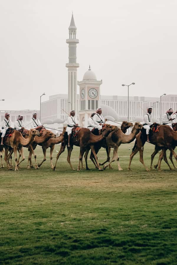 Doha: Visit Souq Waqif, Katara, Pearl, Museum, Cornishe - Key points to know before booking