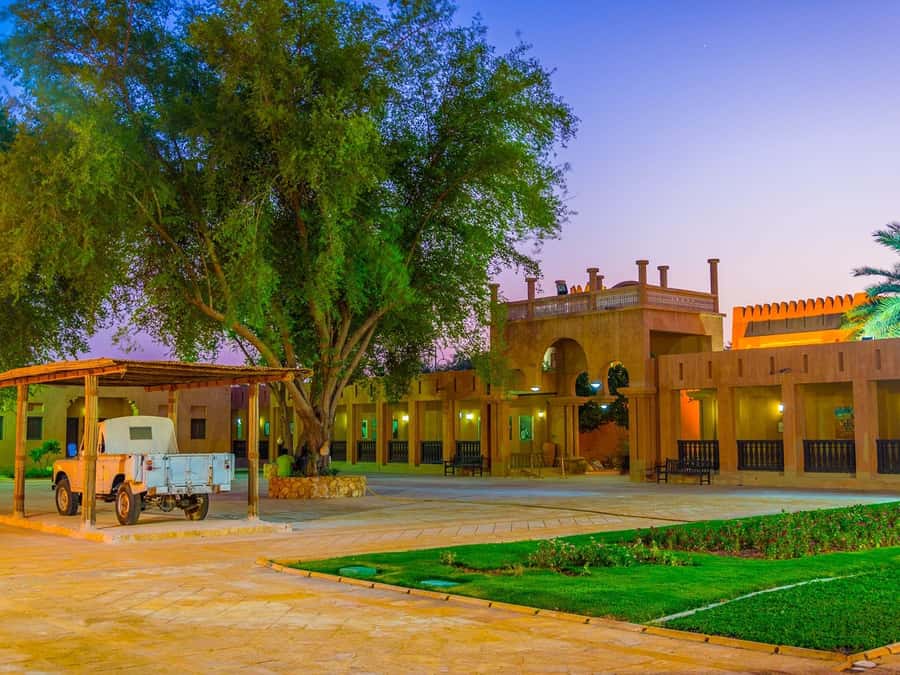 Dubai: Al Ain Oasis, Camel Market, Old Museum & Jebel Hafeet - What the $490 private price really buys