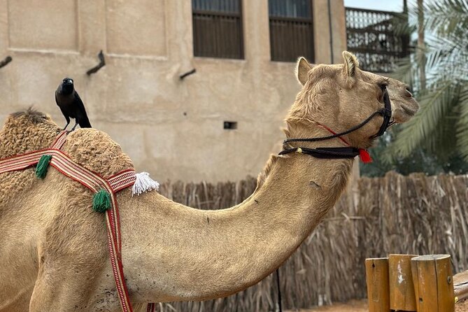 Dubai Old Town Walking Tour with Abra ride, Spice and Gold Souk - Seeing another side of Dubai at Shiva Temple